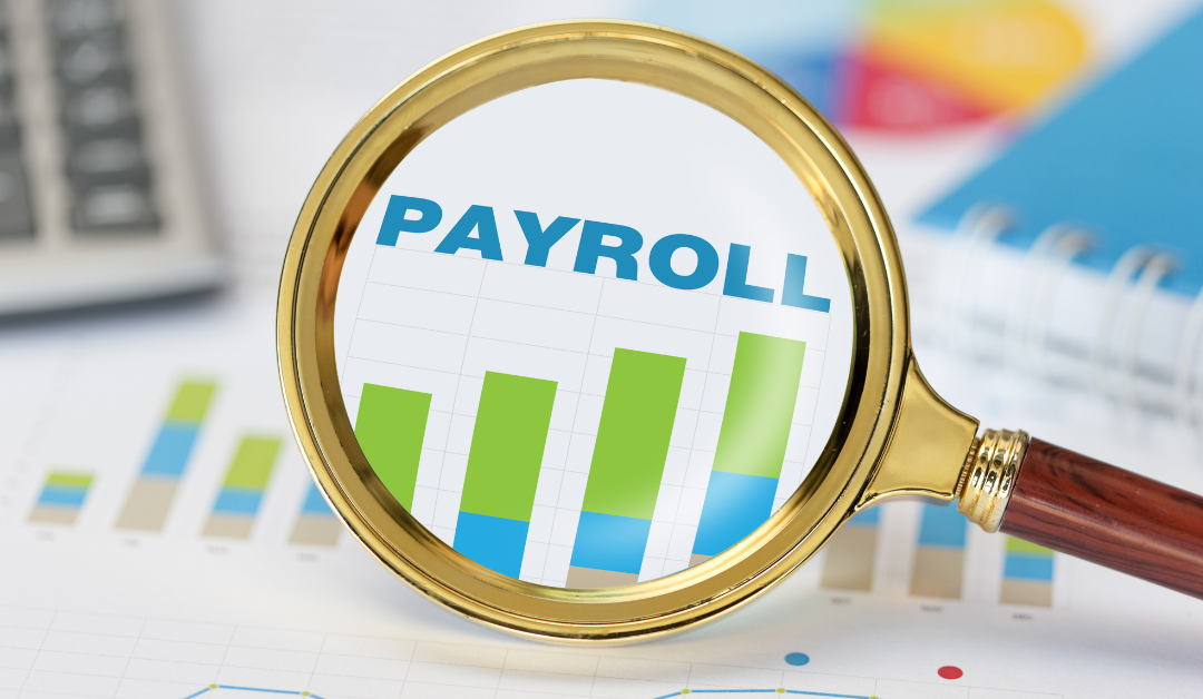 Meet the DMA Tax & Accounting Payroll Department 